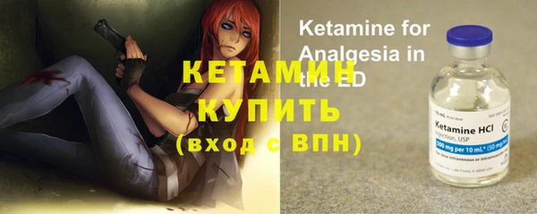 крисы Аркадак