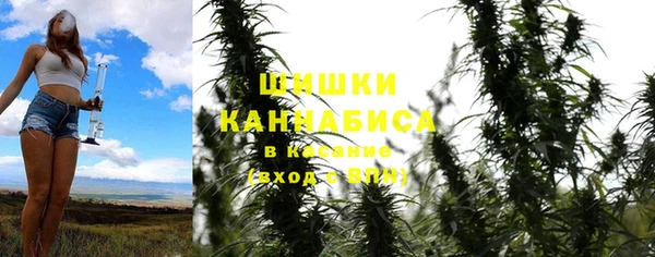 дживик Арсеньев