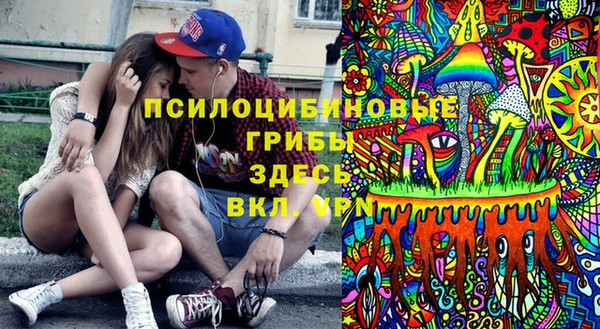 крисы Аркадак