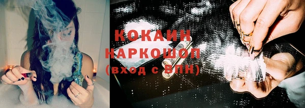 крисы Аркадак