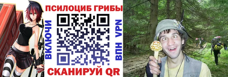где продают наркотики  Дюртюли  Псилоцибиновые грибы ЛСД 