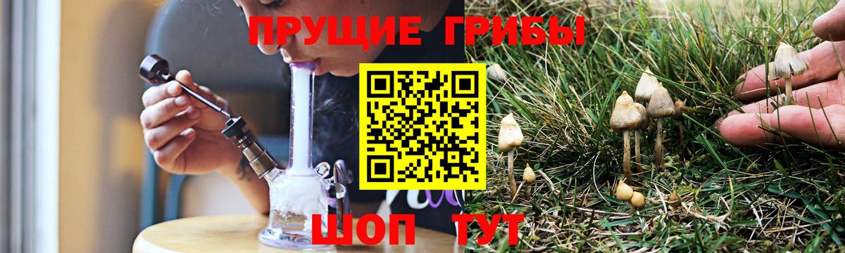 Дюртюли  Галлюциногенные грибы прущие грибы  Псилоцибиновые грибы Magic Shrooms  Вход с VPN 